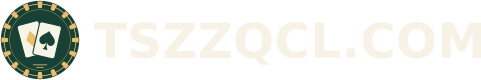 TSZZQCL.COM